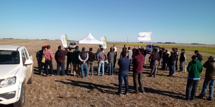 Aapresid pide cuidar la tecnología de tolerancia a glufosinato para no repetir la historia del glifosato en los años 90