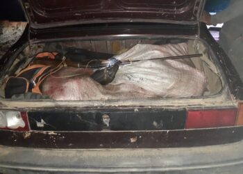 Pero señor juez… ¿Qué tiene de malo llevar una ternera dentro del baúl?