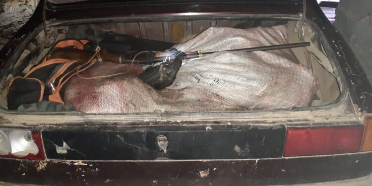 Pero señor juez… ¿Qué tiene de malo llevar una ternera dentro del baúl?