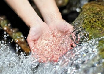 Estudio afirma que las mejoras de acceso al agua en zonas rurales redujeron a la mitad las tareas de acarreo que suelen ser hechas por mujeres y niños