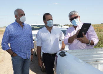 El Ministerio de Agricultura argentino sorprende con una optimista proyección de 47 millones de toneladas de soja