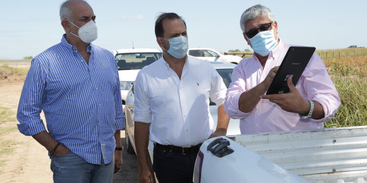 El Ministerio de Agricultura argentino sorprende con una optimista proyección de 47 millones de toneladas de soja