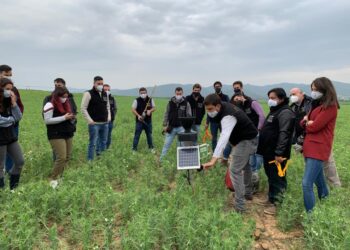 Lanzan créditos a tasa cero por hasta 15 millones de pesos para potenciar emprendimientos tecnológicos