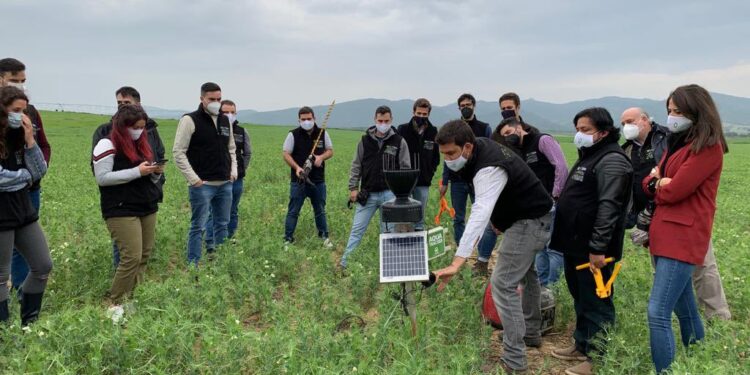 Lanzan créditos a tasa cero por hasta 15 millones de pesos para potenciar emprendimientos tecnológicos