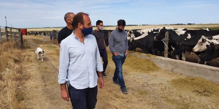La ilusión que me condena: El gobierno acepta discutir el viejo reclamo tambero para que la leche se pague por calidad