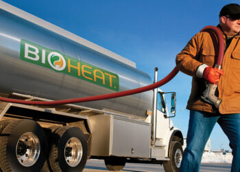 Conozcan a la nueva estrella del mercado: No es el poroto sino el aceite de soja