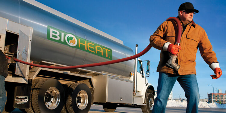 Conozcan a la nueva estrella del mercado: No es el poroto sino el aceite de soja