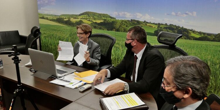 Todos los estados brasileños lindantes con el territorio argentino y uruguayo están a un paso de obtener el estatus de libres de aftosa sin vacunación