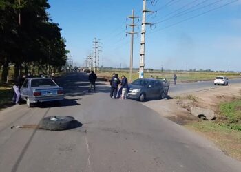 Buyatti: Ciara-CEC pide al gobierno que garantice la posibilidad de trabajar ante el sorpresivo paro instrumentado por aceiteros