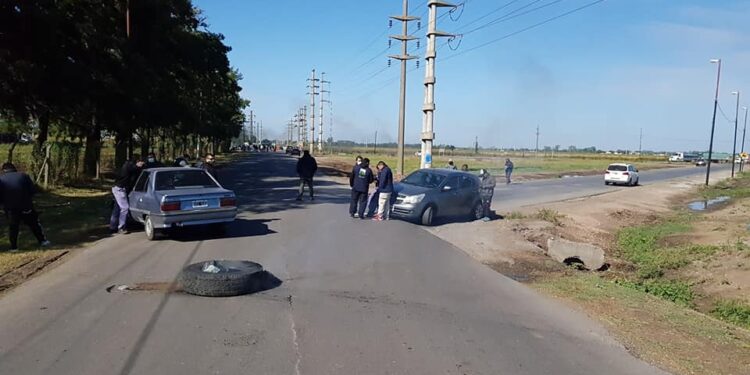 Buyatti: Ciara-CEC pide al gobierno que garantice la posibilidad de trabajar ante el sorpresivo paro instrumentado por aceiteros