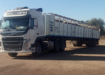 Se acabaron las excepciones: Todas las playas de lavado de camiones de hacienda deberán estar habilitadas por Senasa