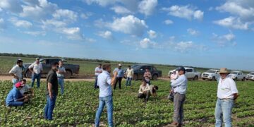 Se recuperaron las ventas de camionetas con una oferta que no puede seguirle el ritmo a la demanda del agro gracias a las trabas del gobierno