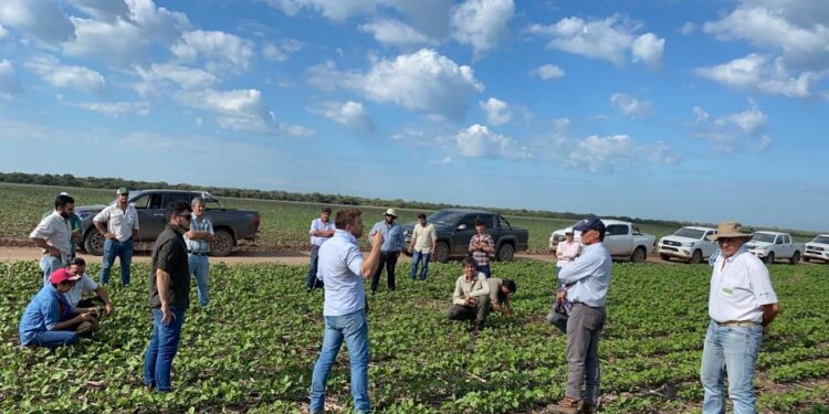 Se recuperaron las ventas de camionetas con una oferta que no puede seguirle el ritmo a la demanda del agro gracias a las trabas del gobierno