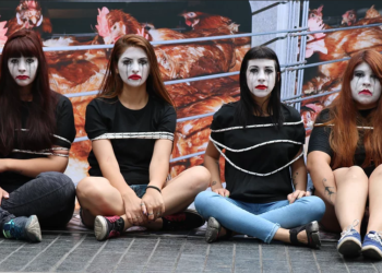 ¿Cómo viven las gallinas? Para Capia el etiquetado obligatorio de huevos va a terminar en una “estafa al consumidor”