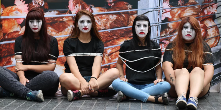 ¿Cómo viven las gallinas? Para Capia el etiquetado obligatorio de huevos va a terminar en una “estafa al consumidor”