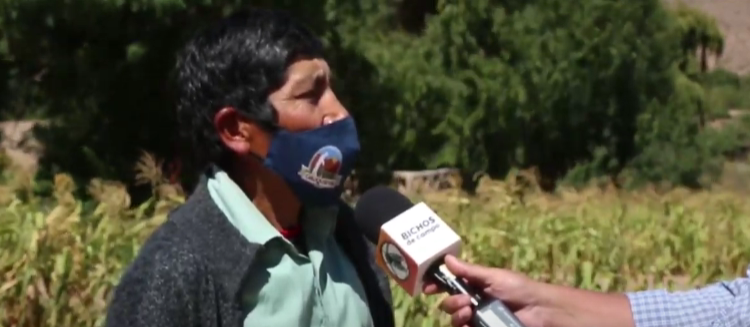 Con una frase sencilla, Paulino explica los problemas de cultivar en la Quebrada de Humahuaca: “Antes era más difícil producir pero más fácil vender”