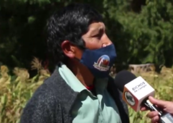 Con una frase sencilla, Paulino explica los problemas de cultivar en la Quebrada de Humahuaca: “Antes era más difícil producir pero más fácil vender”