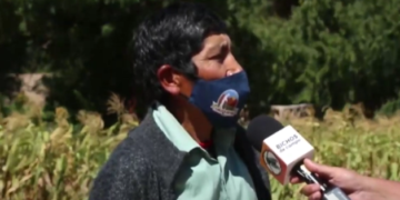 Con una frase sencilla, Paulino explica los problemas de cultivar en la Quebrada de Humahuaca: “Antes era más difícil producir pero más fácil vender”