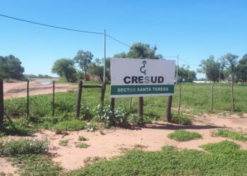 Cresud perdió más de 2500 millones de pesos en el negocio agrícola que no pudieron ser compensados con los buenos resultados ganaderos