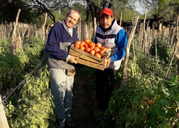 Alejandro Deane: Un agrónomo lleva 40 años junto a los wichi del Chaco salteño trabajando por su dignidad y para que produzcan sus alimentos