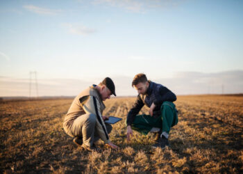 Lanzan un documento que ayuda a evitar confusiones (que pueden costar caras) entre familia y empresa agropecuaria