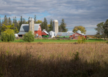 Enrique Erize: En Chicago los números “no cierran”