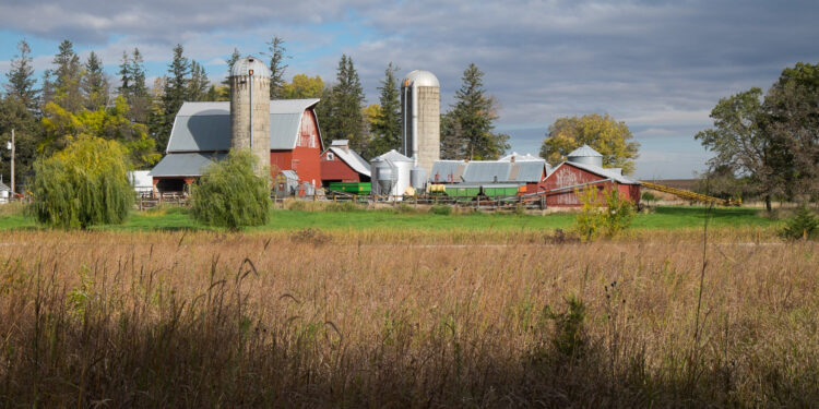 Enrique Erize: En Chicago los números “no cierran”