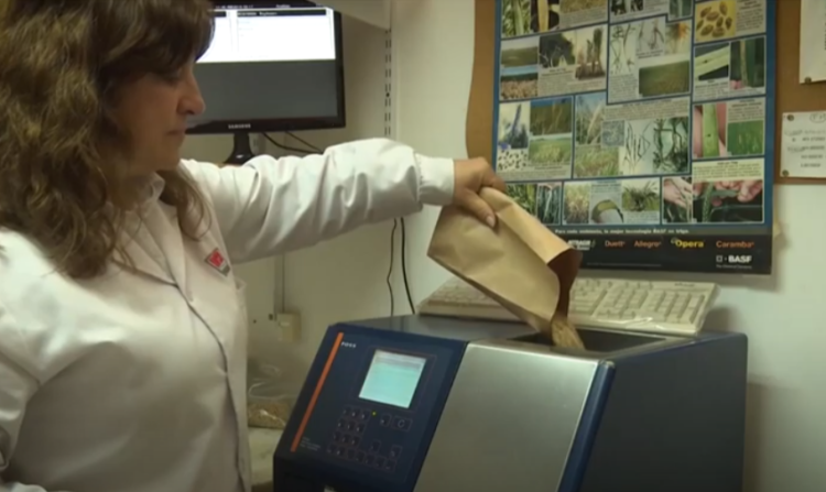Leticia Mir analiza soja y trigo en el laboratorio del INTA Marcos Juárez y reconoce que en Argentina “falta una cultura que premie la calidad”