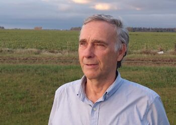 Ya no se habla de las granjas chinas, pero el sector porcino tiene su propio plan para duplicar la producción en 2030 y crear 93 mil empleos