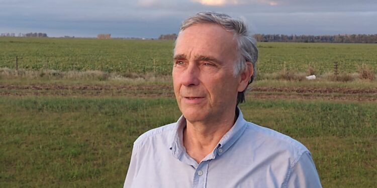 Ya no se habla de las granjas chinas, pero el sector porcino tiene su propio plan para duplicar la producción en 2030 y crear 93 mil empleos