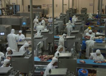 Argentina insólita: Subieron los precios de la carne vacuna en el mercado internacional pero los exportadores están cada vez más complicados