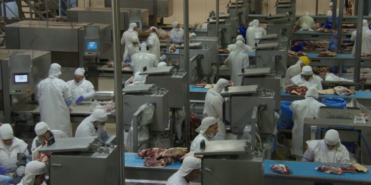 Argentina insólita: Subieron los precios de la carne vacuna en el mercado internacional pero los exportadores están cada vez más complicados