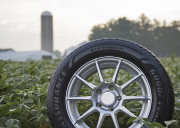 Goodyear anunció que para 2040 dejará de emplear derivados del petróleo para reemplazarlos por aceite de soja