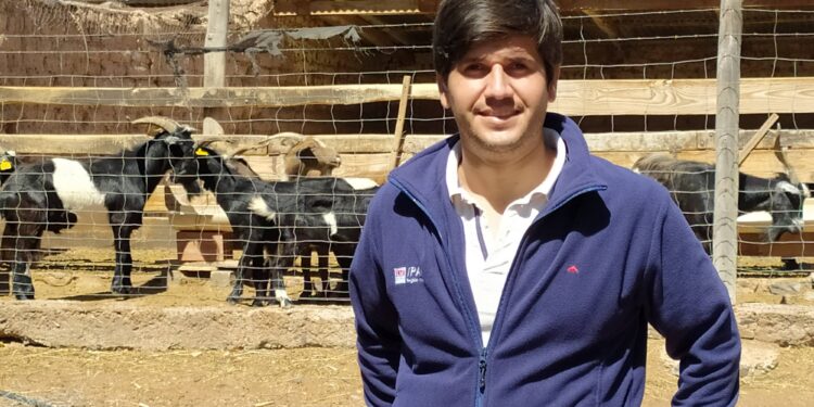 En Jujuy funciona una cabaña experimental de cabras criollas para apuntalar a los pastores de la Puna y la Quebrada