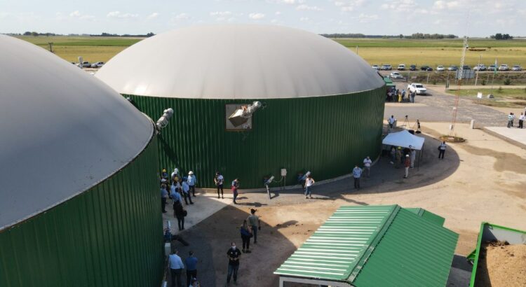 ¿Cómo funciona un biodigestor? Estudiante de ingeniería, Ornela Lacelli supervisa el proceso que transforma desechos animales en electricidad