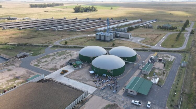 ¿Cómo funciona un biodigestor? Estudiante de ingeniería, Ornela Lacelli supervisa el proceso que transforma desechos animales en electricidad