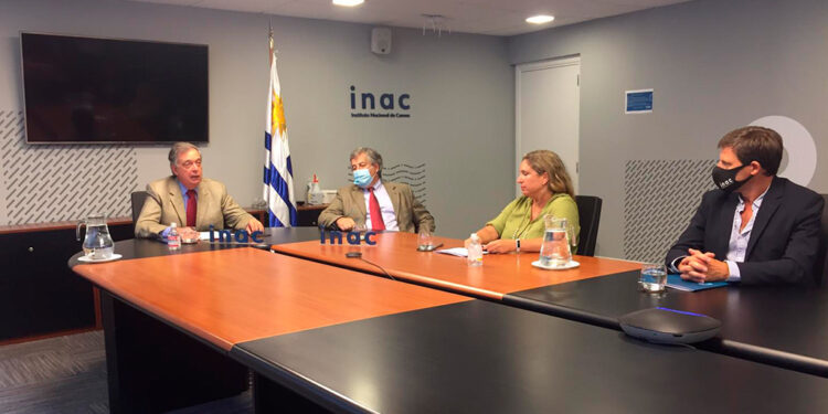 Mercosur: La habilitación uruguaya para importar terneros argentinos tiene tantas trabas que es inviable