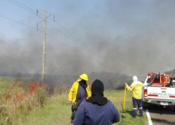 Se declaró la emergencia agropecuaria para Corrientes y Jujuy
