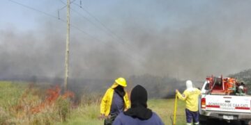 Se declaró la emergencia agropecuaria para Corrientes y Jujuy