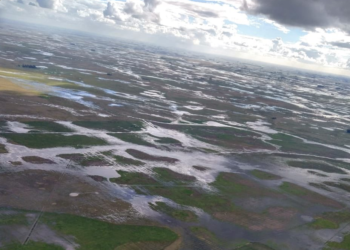 En la Cuenca del Salado pasaron de la sequía a la inundación luego de un temporal que aportó más de 300 milímetros en algunos sectores