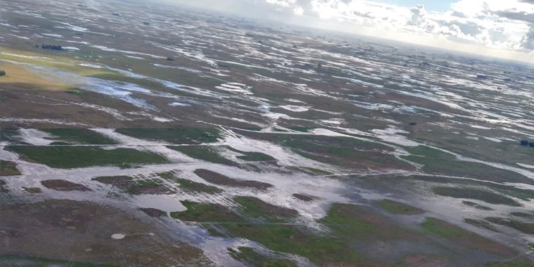 En la Cuenca del Salado pasaron de la sequía a la inundación luego de un temporal que aportó más de 300 milímetros en algunos sectores