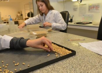 Extendieron el sistema Bolsatech para la campaña 2020/21: Los datos relevados ahora serán confidenciales y de uso exclusivo del Inase