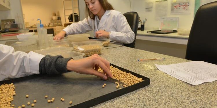 Extendieron el sistema Bolsatech para la campaña 2020/21: Los datos relevados ahora serán confidenciales y de uso exclusivo del Inase