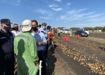 Productores uruguayos avalan la posición de Lacalle Pou: “Seguir negociando sí, pero atados al Mercosur no”