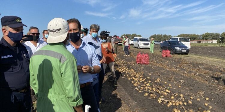 Productores uruguayos avalan la posición de Lacalle Pou: “Seguir negociando sí, pero atados al Mercosur no”