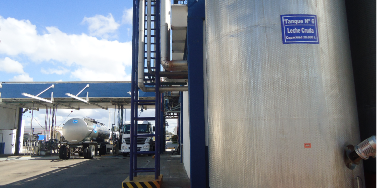 Con la suba de los precios internacionales la capacidad de pago de las industrias “polveras” argentinas se va a 35 pesos por litro de leche