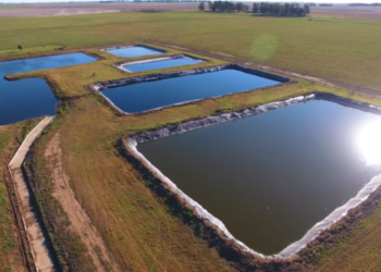 Cómo transformar un problema en una solución: Uso agronómico de compost en feedlots