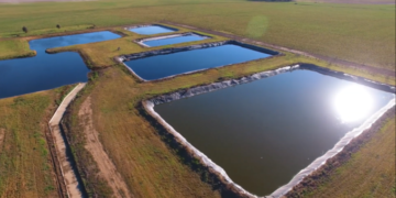 Cómo transformar un problema en una solución: Uso agronómico de compost en feedlots