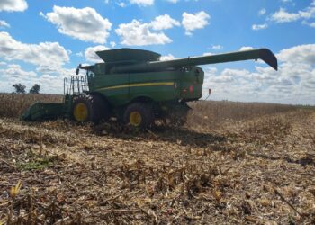 A meterle: Esta semana será ideal para avanzar con la cosecha pero la que viene regresan las lluvias intensas
