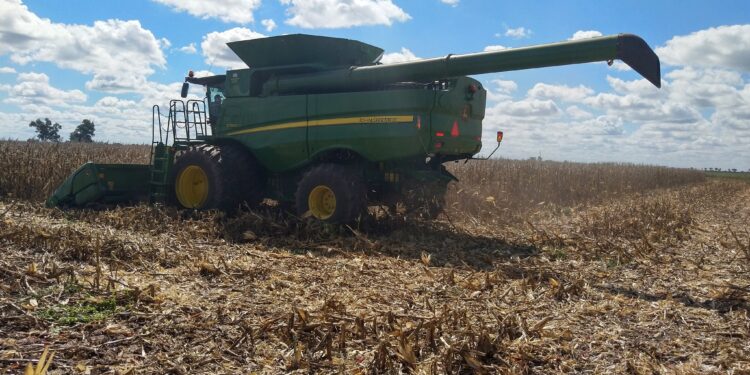 A meterle: Esta semana será ideal para avanzar con la cosecha pero la que viene regresan las lluvias intensas